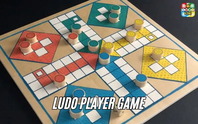 Ludo Player Game